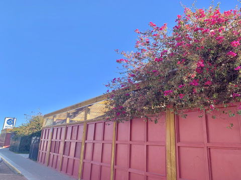 Opal Inn Hotel, Motel, Caravan Park - Accommodation Main Beach 39