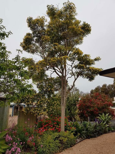 Sinclair Cottage - Accommodation Main Beach 25