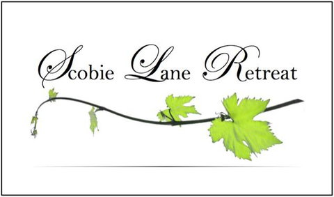 Scobie Lane Retreat - Accommodation Main Beach 15