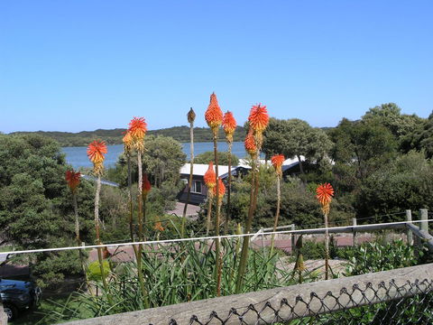 Lakeside Tourist Park - Accommodation Main Beach 3