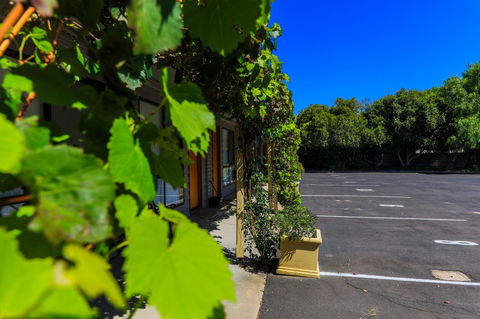 Country Roads Motor Inn Naracoorte - Accommodation Main Beach 16