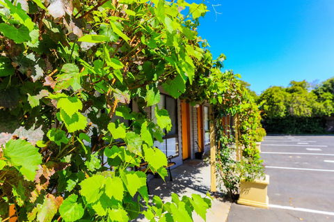 Country Roads Motor Inn Naracoorte - Accommodation Main Beach 18