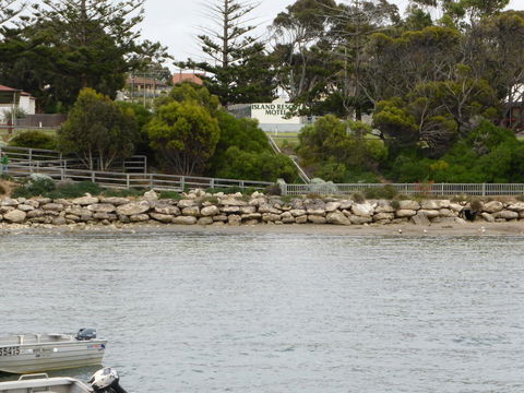 Island Motel Kingscote - Accommodation Main Beach 4