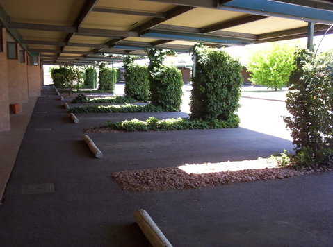 The Wine Vine Hotel - Accommodation Main Beach 17