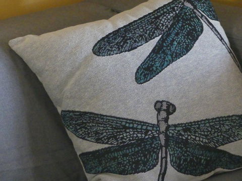 KI Dragonfly Guesthouse - Accommodation Main Beach 43