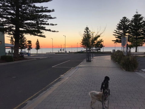 BIG4 Ceduna Tourist Park - Accommodation Main Beach 34