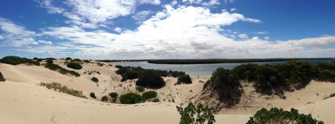 BIG4 Ceduna Tourist Park - Accommodation Main Beach 40