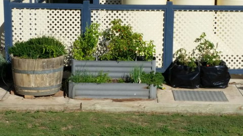 BIG4 Ceduna Tourist Park - Accommodation Main Beach 30