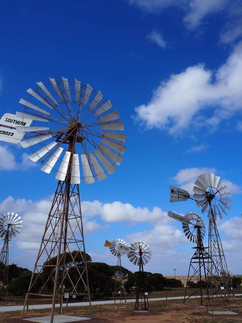 BIG4 Ceduna Tourist Park - Accommodation Main Beach 33