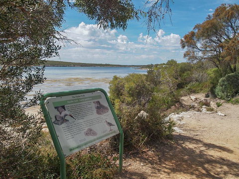 Willygunyah - Accommodation Main Beach 31