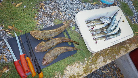 Willygunyah - Accommodation Main Beach 30