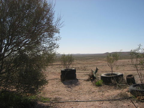 Venushill B+B - Accommodation Main Beach 32