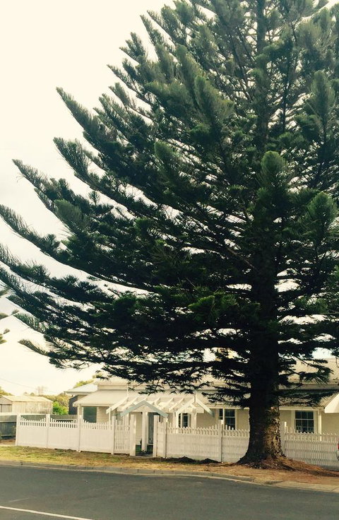 Railway Cottage In Beachport - Accommodation Main Beach 13