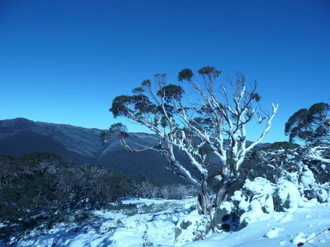 CHILL-OUT - Thredbo - Accommodation Main Beach 33