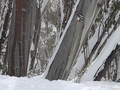 CHILL-OUT - Thredbo - Accommodation Main Beach 30
