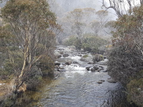 CHILL-OUT - Thredbo - Accommodation Main Beach 23