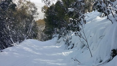 CHILL-OUT - Thredbo - Accommodation Main Beach 17