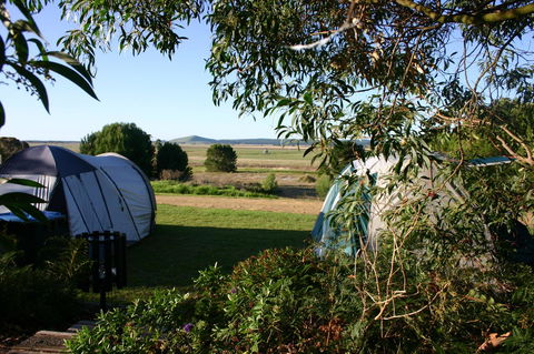 Millicent Hillview Caravan Park - Accommodation Main Beach 43