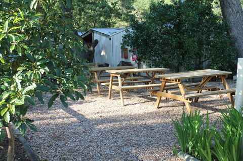 Millicent Hillview Caravan Park - Accommodation Main Beach 9
