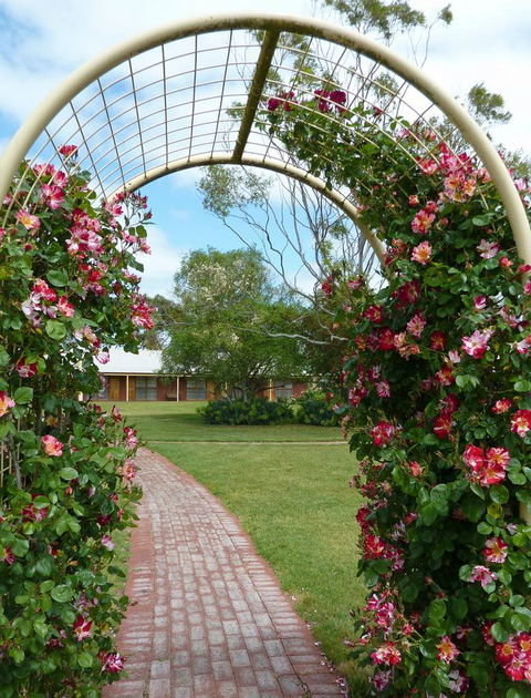 Coonawarra Place Motor Inn - Accommodation Main Beach 20