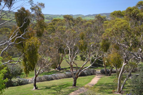 Shiraz Cottage - Accommodation Main Beach 9