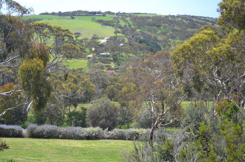 Shiraz Cottage - Accommodation Main Beach 8