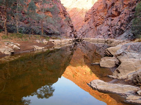 Arkaroola Wilderness Sanctuary - Accommodation Main Beach 6