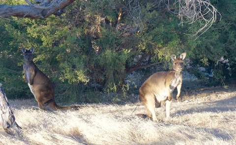 The Cape - Accommodation Main Beach 10