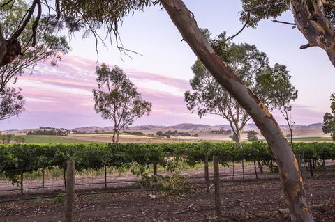 Jasmine\'s Barossa Valley Cottage - Accommodation Main Beach 19