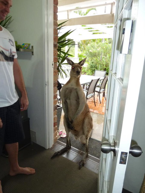 Aston Motel Yamba - Accommodation Main Beach 10