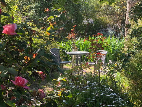 Treasured Memories Cottage - Accommodation Main Beach 17