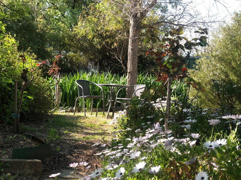 Treasured Memories Cottage - Accommodation Main Beach 23