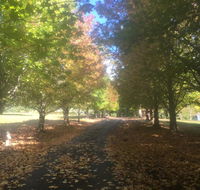 A peaceful cabin in the country - Accommodation Main Beach