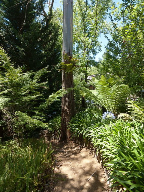 Aldgate Creek Cottage Bed And Breakfast - Accommodation Main Beach 27