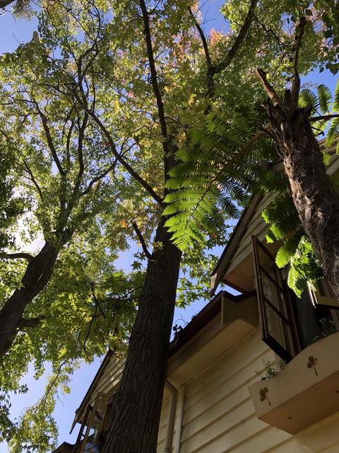 Aldgate Creek Cottage Bed And Breakfast - Accommodation Main Beach 8