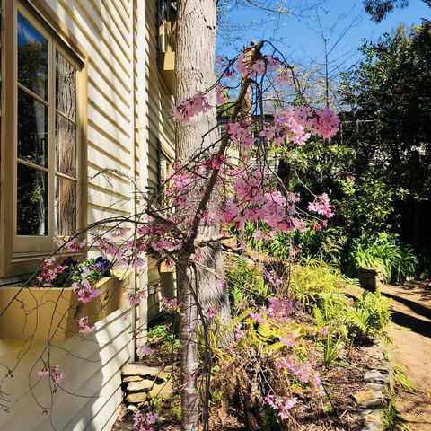 Aldgate Creek Cottage Bed And Breakfast - Accommodation Main Beach 19