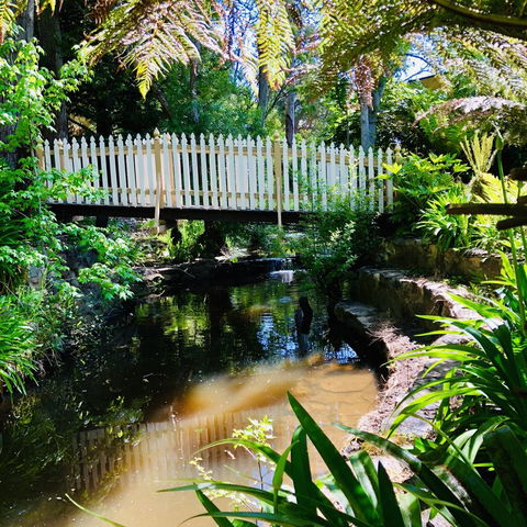 Aldgate Creek Cottage Bed And Breakfast - Accommodation Main Beach 24