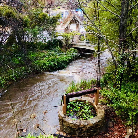 Aldgate Creek Cottage Bed And Breakfast - Accommodation Main Beach 23