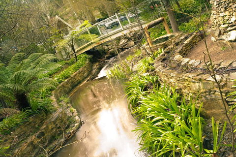 Aldgate Creek Cottage Bed And Breakfast - Accommodation Main Beach 17