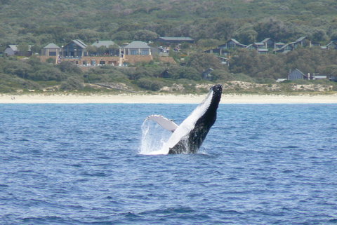 Pullman Bunker Bay Resort Margaret River - Accommodation Main Beach 25