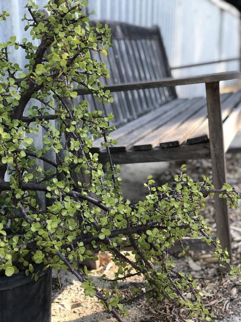 White Sands - Accommodation Main Beach 5