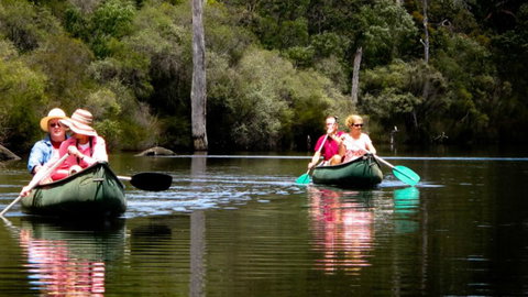 The Roozen Residence - Accommodation Main Beach 27