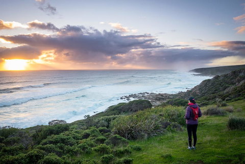 The Roozen Residence - Accommodation Main Beach 32