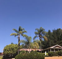 Forest Lodge Resort - Accommodation Main Beach