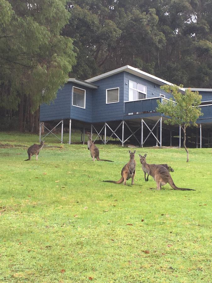 Accommodation Main Beach