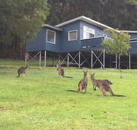 Blue House Denmark - Accommodation Main Beach