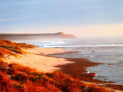 Kanga Cottage - Accommodation Main Beach 26