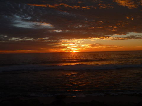 Kanga Cottage - Accommodation Main Beach 41