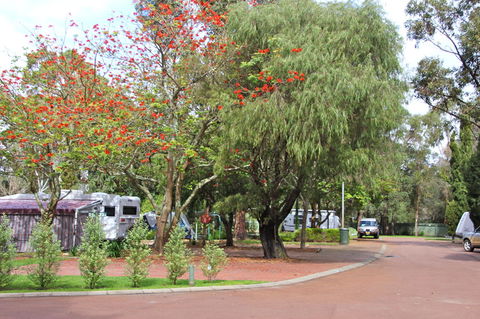 Margaret River Tourist Park - Accommodation Main Beach 43