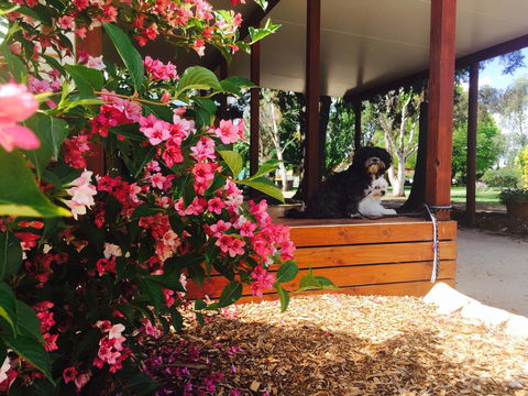 Armidale Tourist Park - Accommodation Main Beach 34